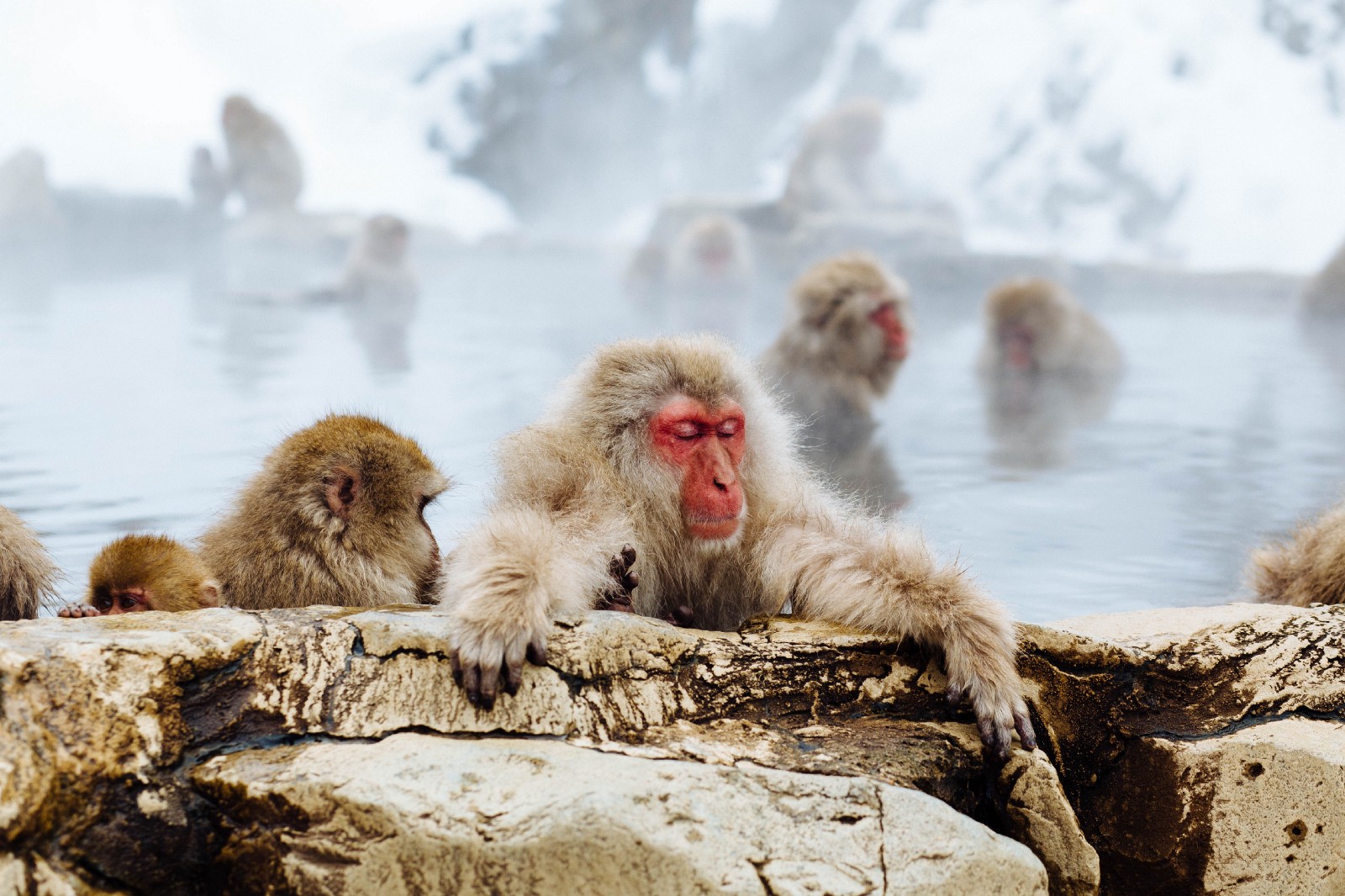 tokyo tourism in january