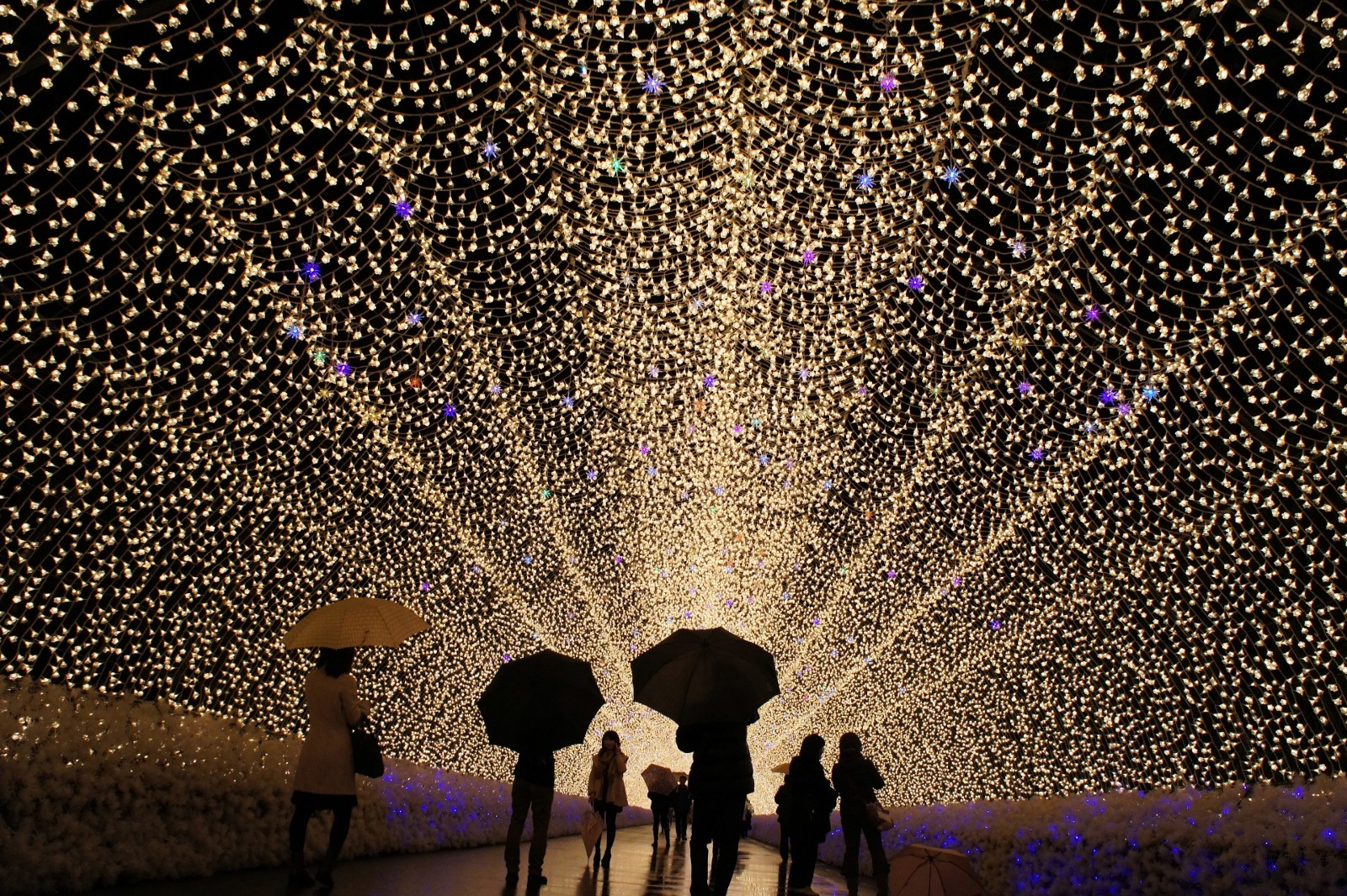 tokyo tourism in january