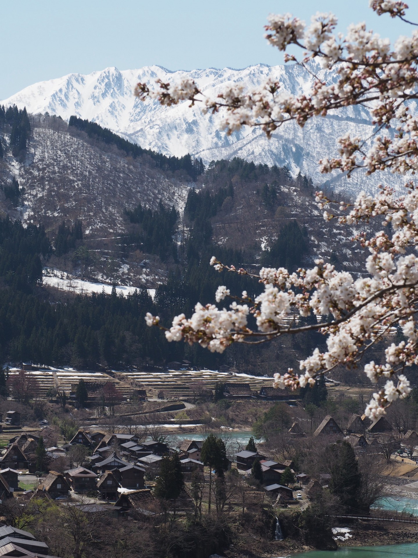 shirakawago visit