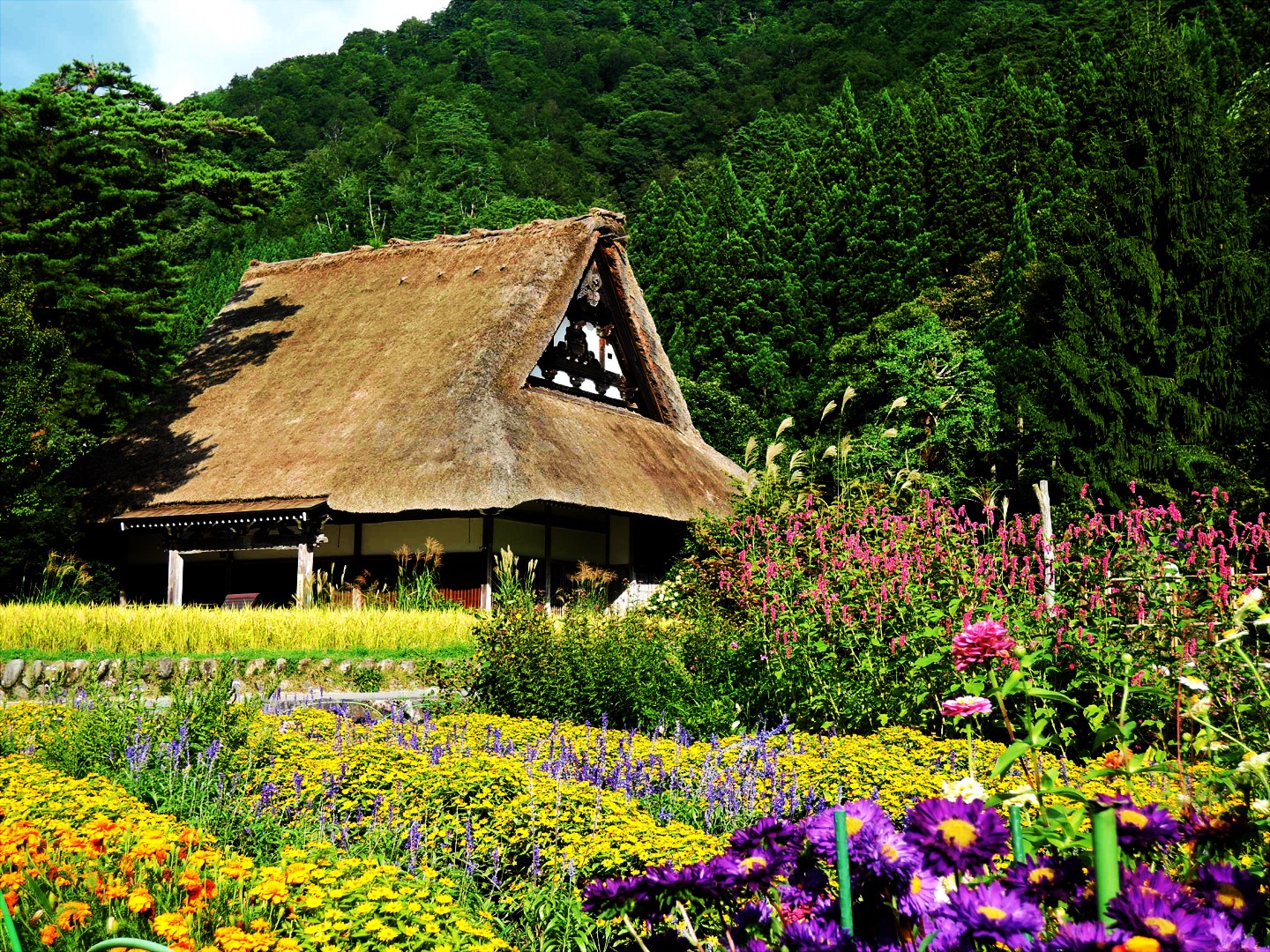 shirakawago visit