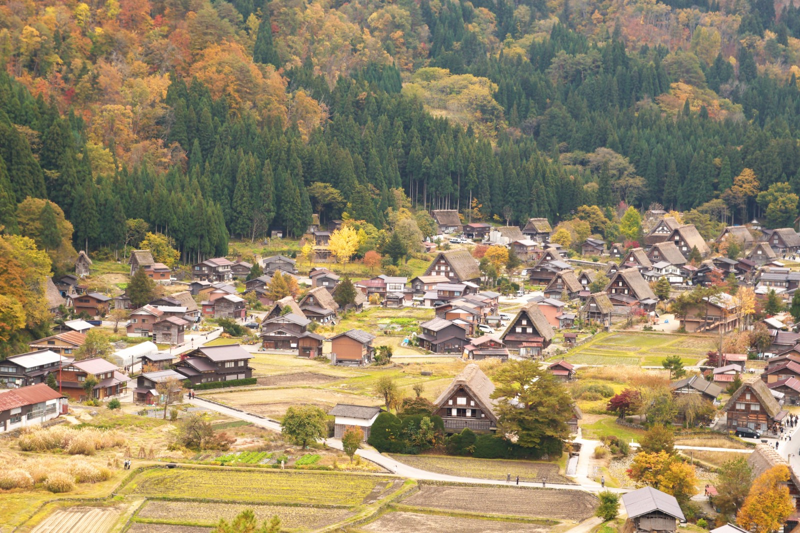 Shirakawago : Best Time to Visit - Japan Web Magazine