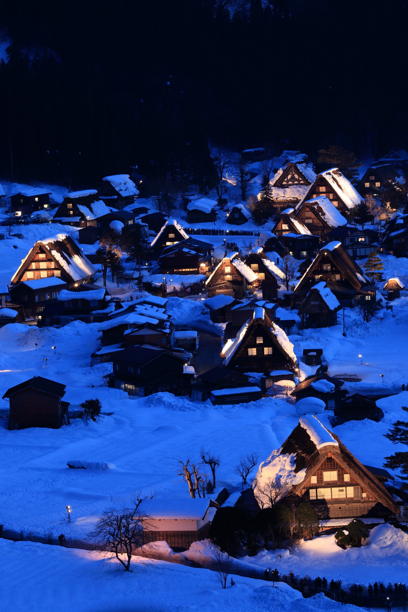 shirakawago visit