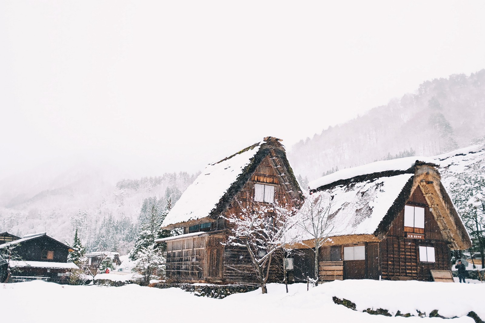 Shirakawago : Best Time to Visit - Japan Web Magazine