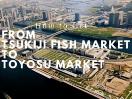 Toyosu Market: How to Get to Toyosu Fish Market from Tsukiji Fish Market