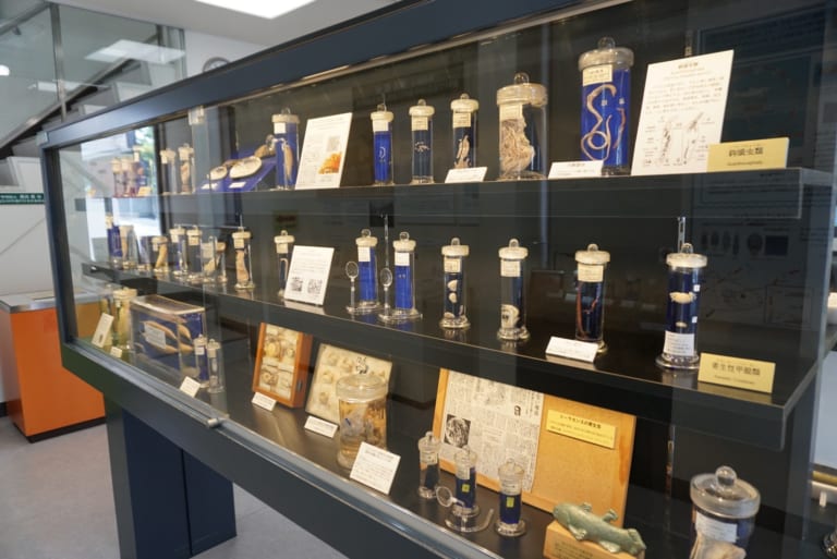 Meguro Parasitological Museum in Tokyo