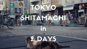 2 Days Itinerary in Tokyo: SHITAMACHI the Old Downtown