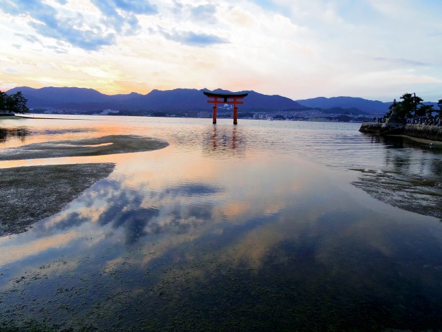 The floating torii gate on the sacred island of Miyajima