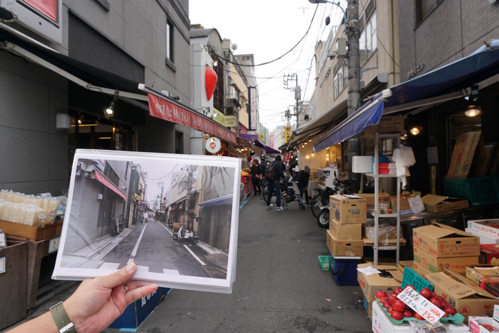 best tokyo fish market tour