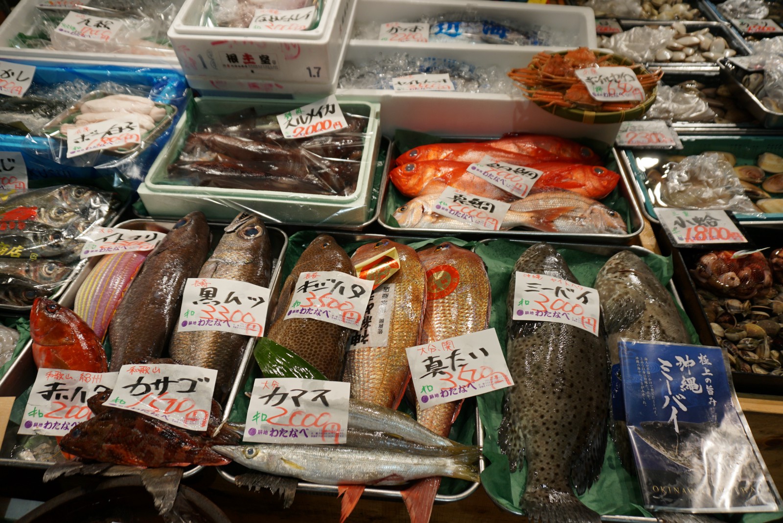 best tokyo fish market tour