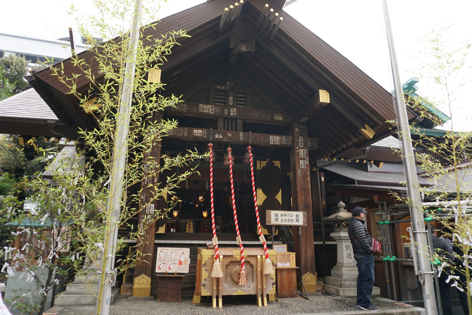 best tokyo fish market tour