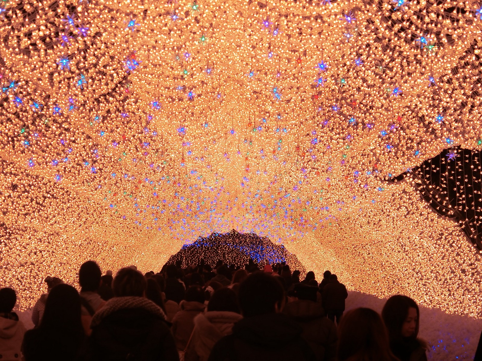 Nabana no Sato Spectacular Winter Illumination 20232024 Japan Web