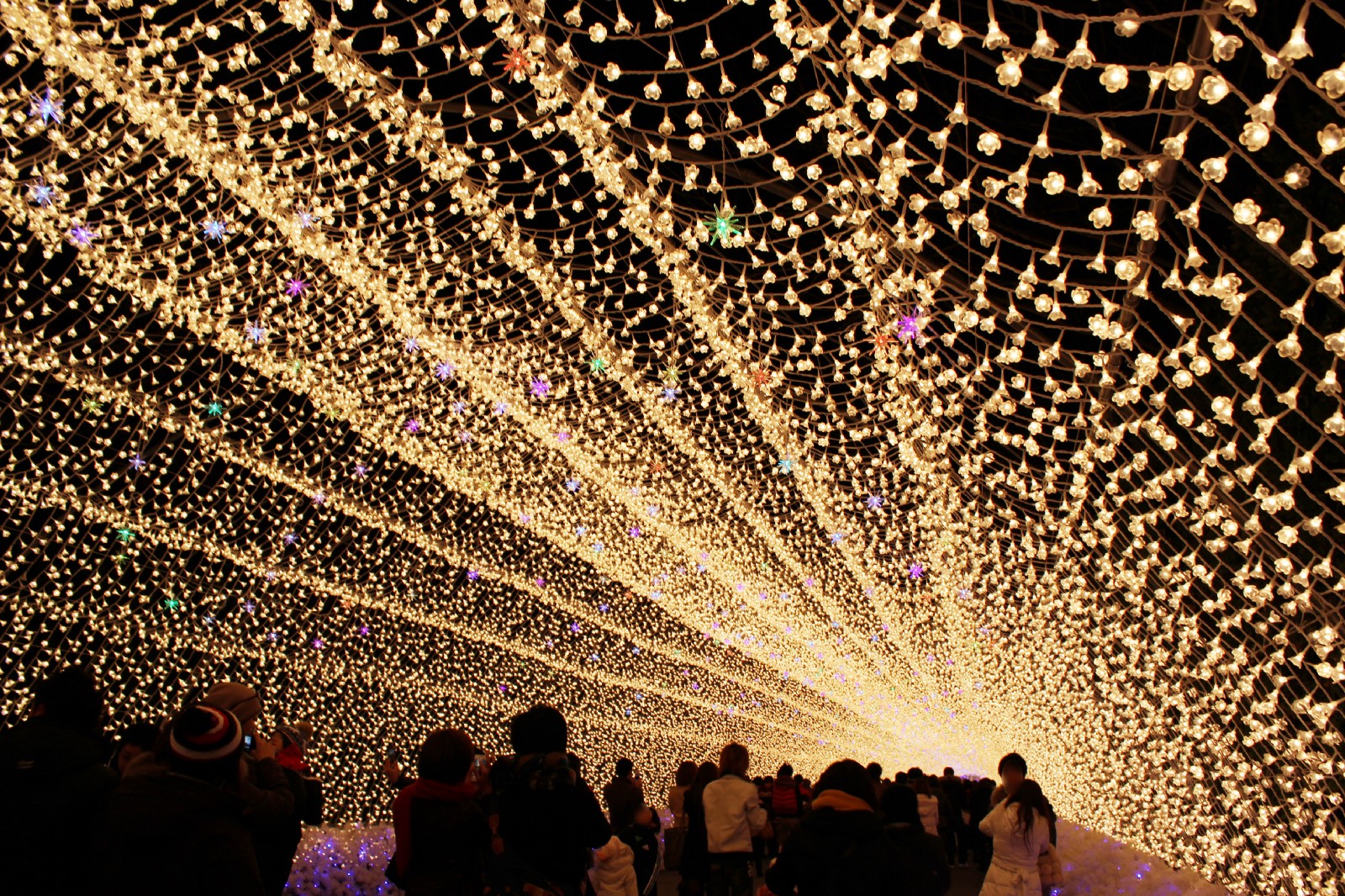 Nabana no Sato Spectacular Winter Illumination 20232024 Japan Web