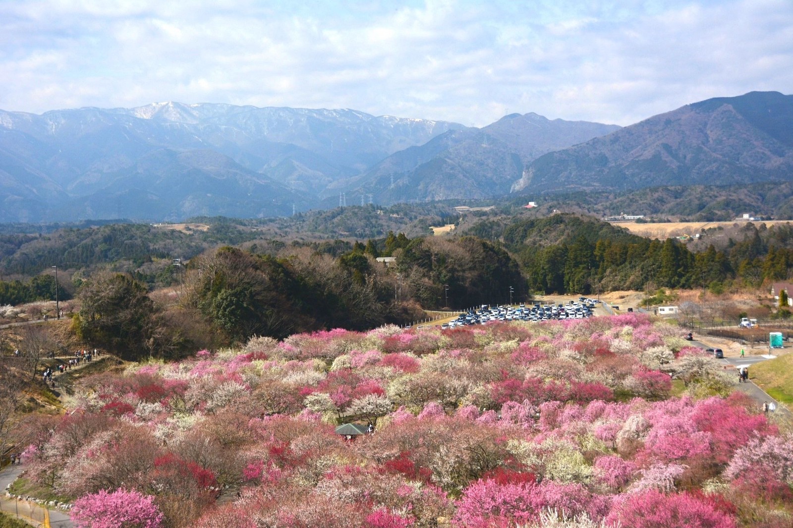 places to visit in japan in march