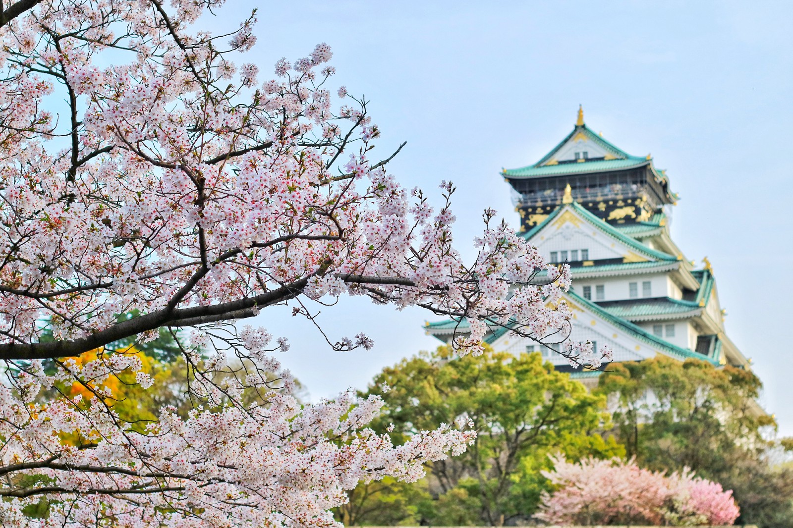 Top 10 Things to Do in Japan in March Japan Web Magazine