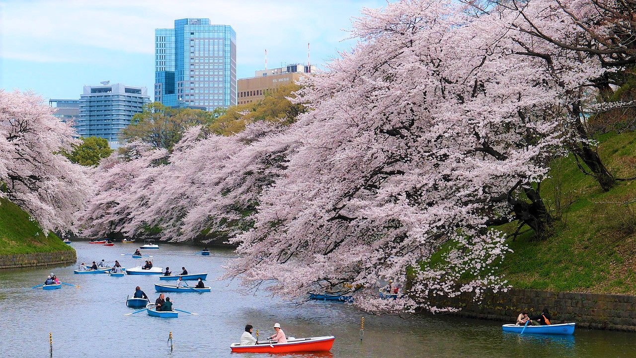 Tokyo In March Best Things To Do 2020 Japan Web Magazine