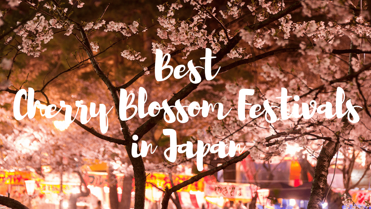 5 Best Cherry Blossom Festivals in Tokyo 2022 Japan Web Magazine