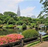 東京十大最美公園