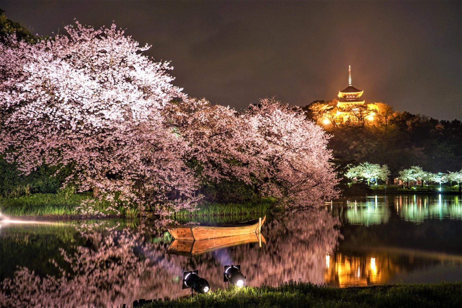 17 Of The Most Beautiful Places To See Cherry Blossom - vrogue.co