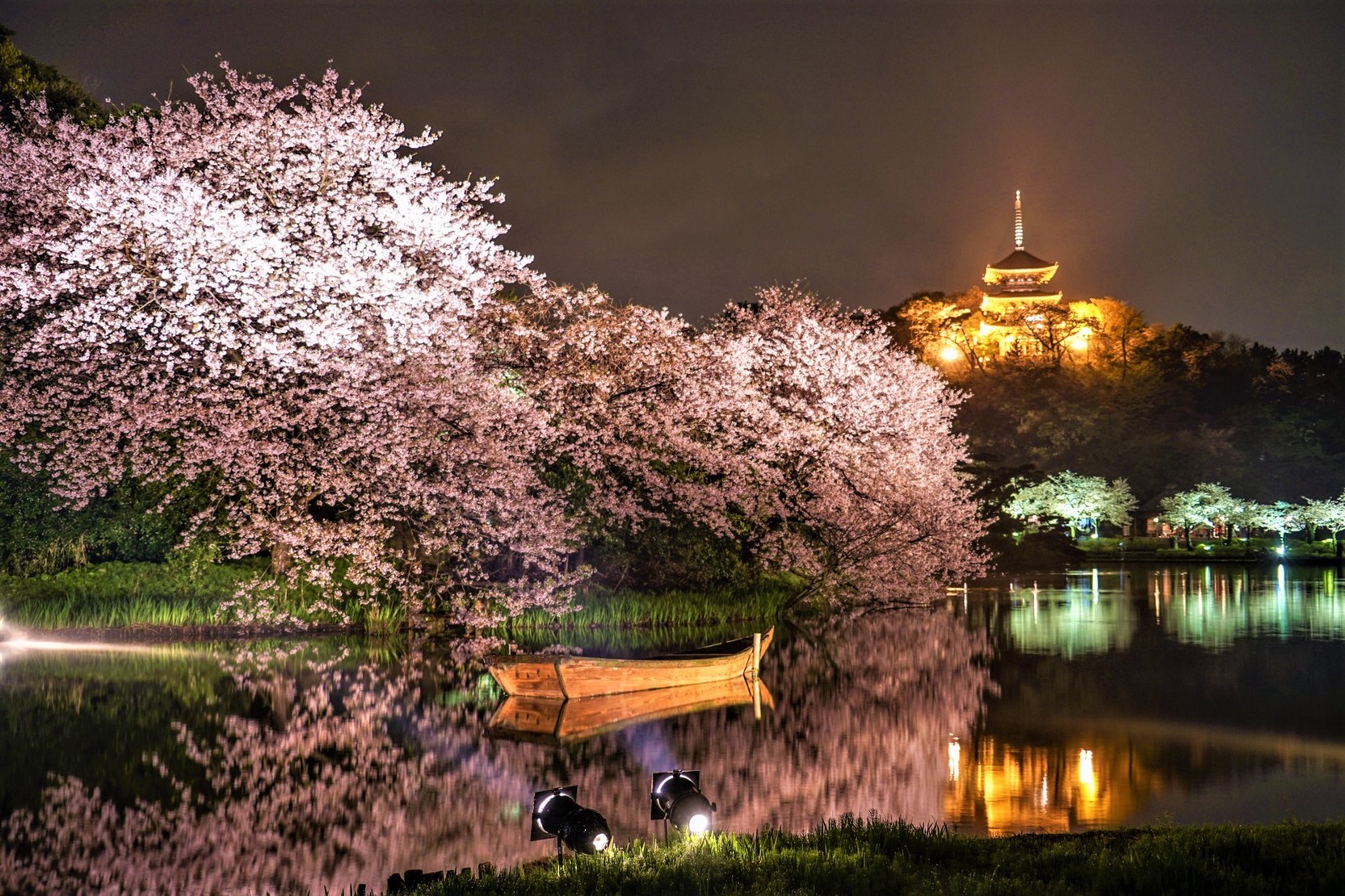 Best Places To See Cherry Blossoms In Yokohama Japan Web Magazine