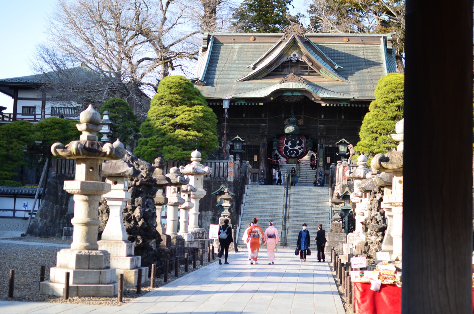 hato bus tour price