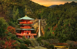 3 Best Luxury Private Tours in Japan