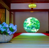 六月訪問日本的十大最佳活動