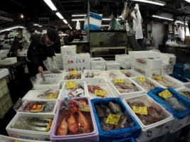 Adachi Fish Market: Tokyo’s Hidden Fish Market