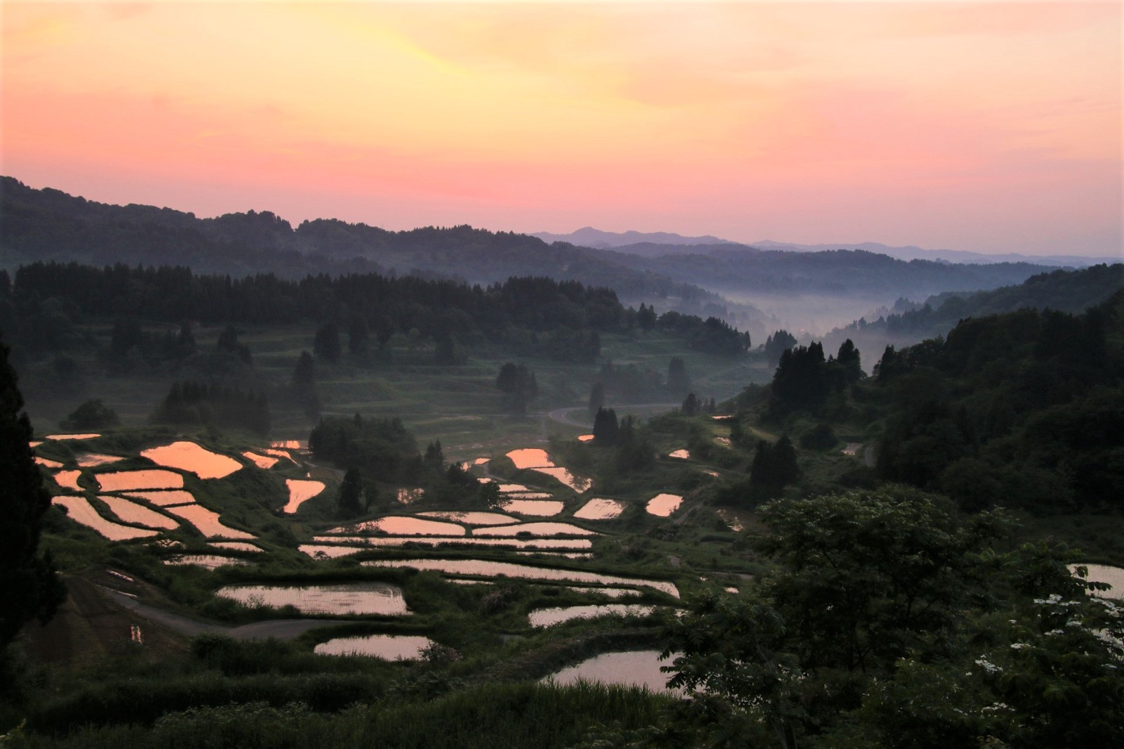 why visit japan in june