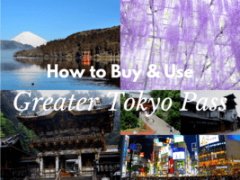 Greater Tokyo Pass: Unlimited Train and Bus Rides in and around Tokyo