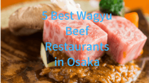 5 Best Wagyu Beef in Osaka: Kobe Beef, Matsusaka Beef, etc