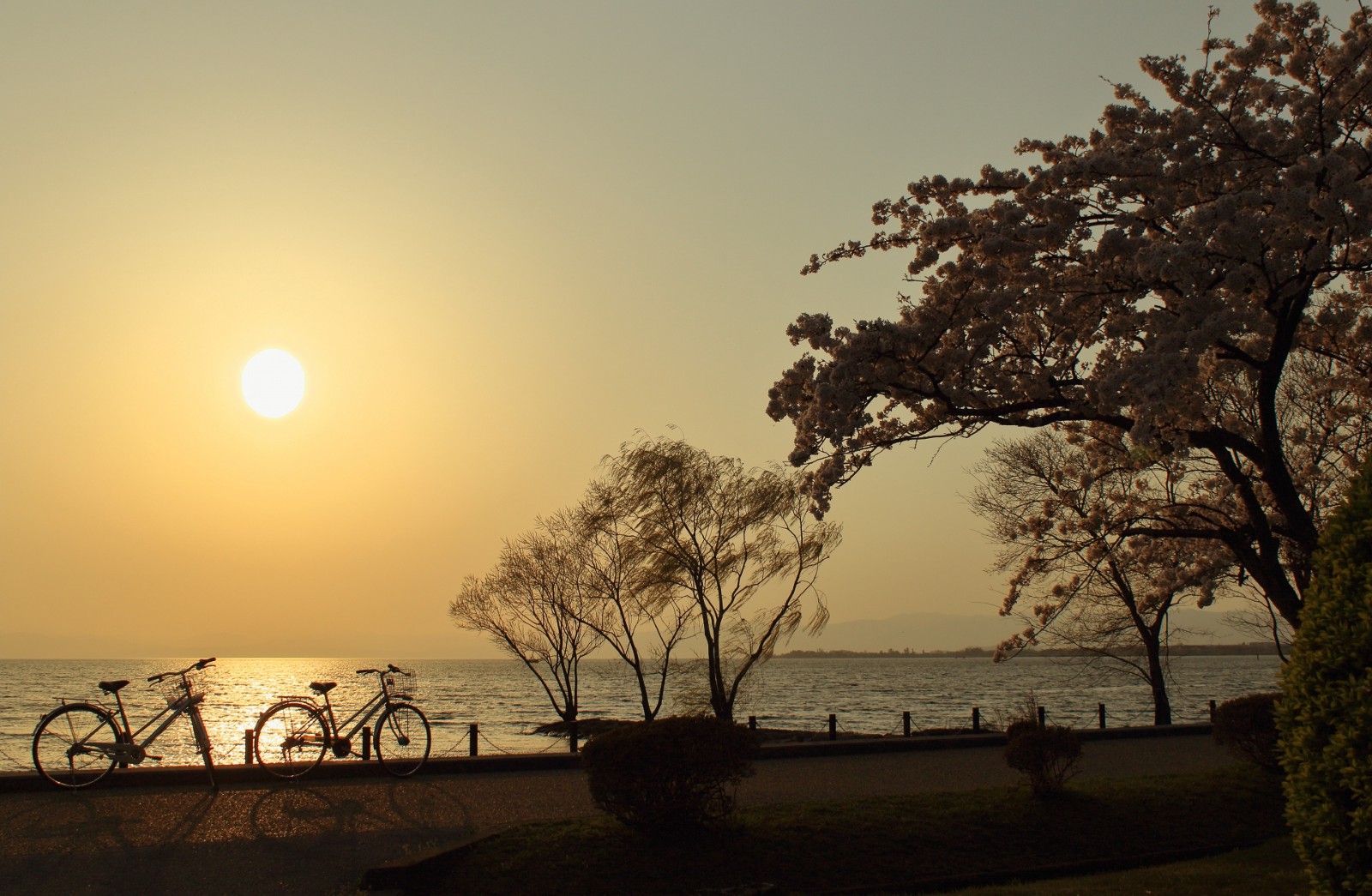 lake biwa travel blog