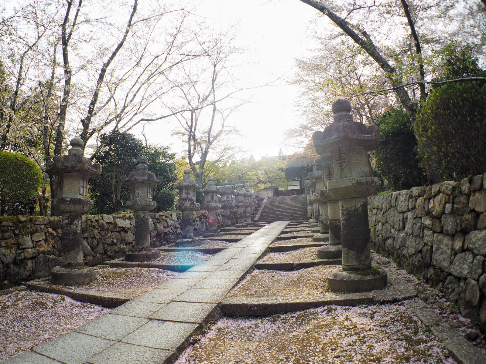 Miidera Temple: the Most Powerful Temple in Shiga