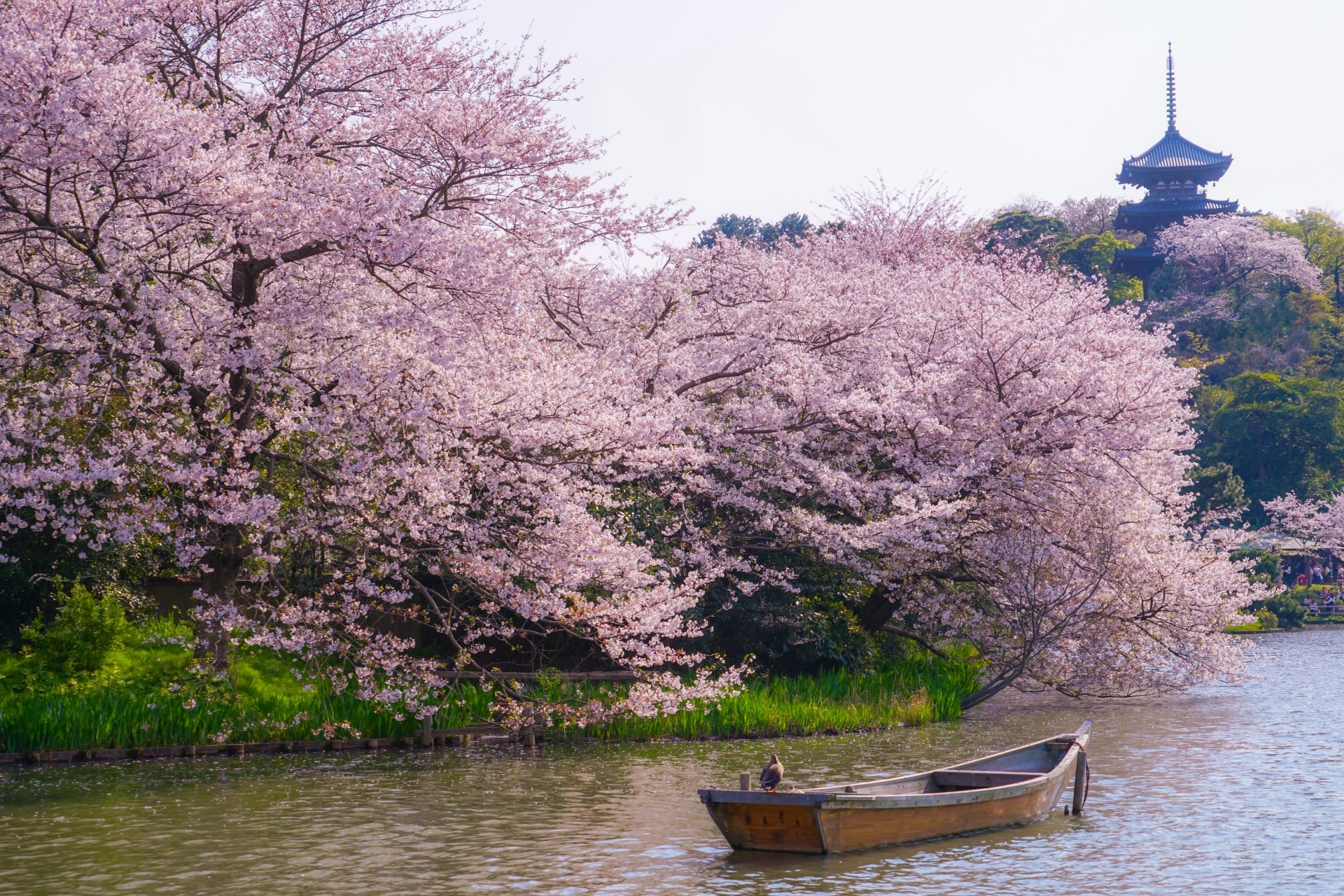 places to visit around yokohama