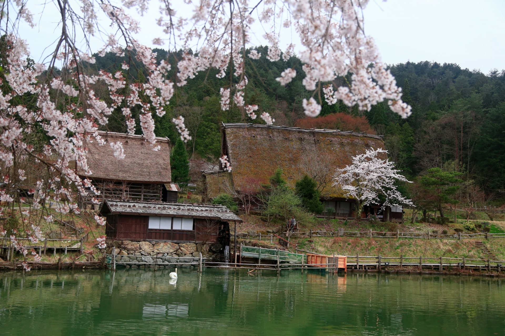 Hida Folk Village/Hida no Sato