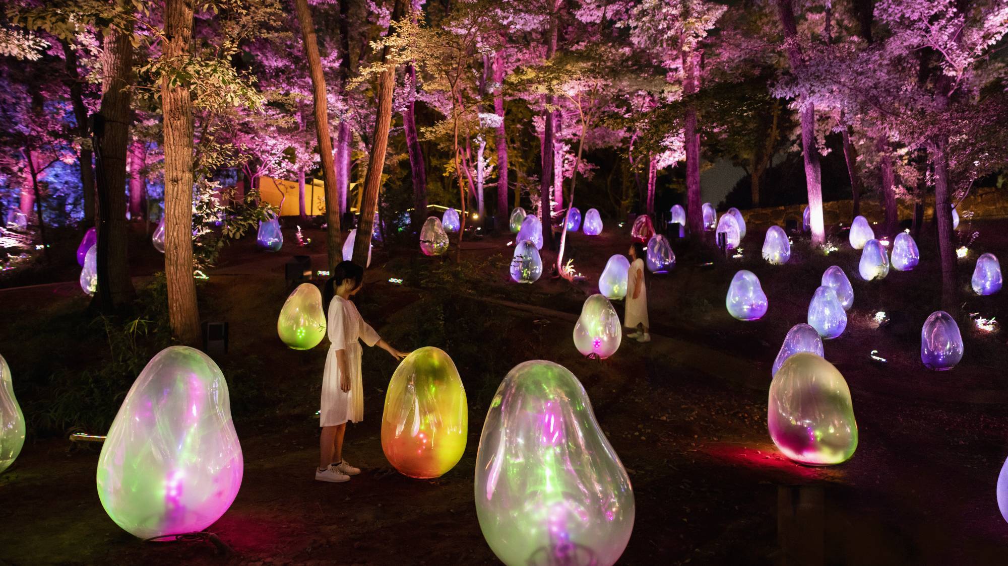 TeamLab: Resonating Life in the Acorn Forest