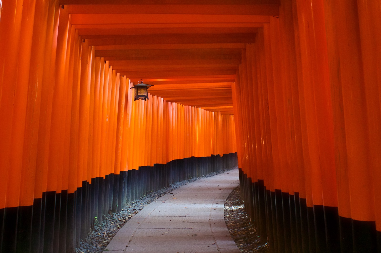 Senbon Torii gates at Fushimi Inari Taisha