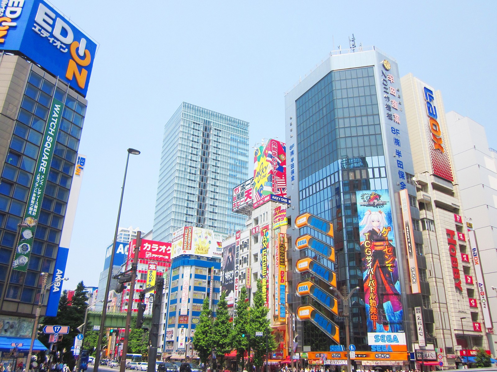 Akihabara offre des centaines de magasins liés à la culture Otaku