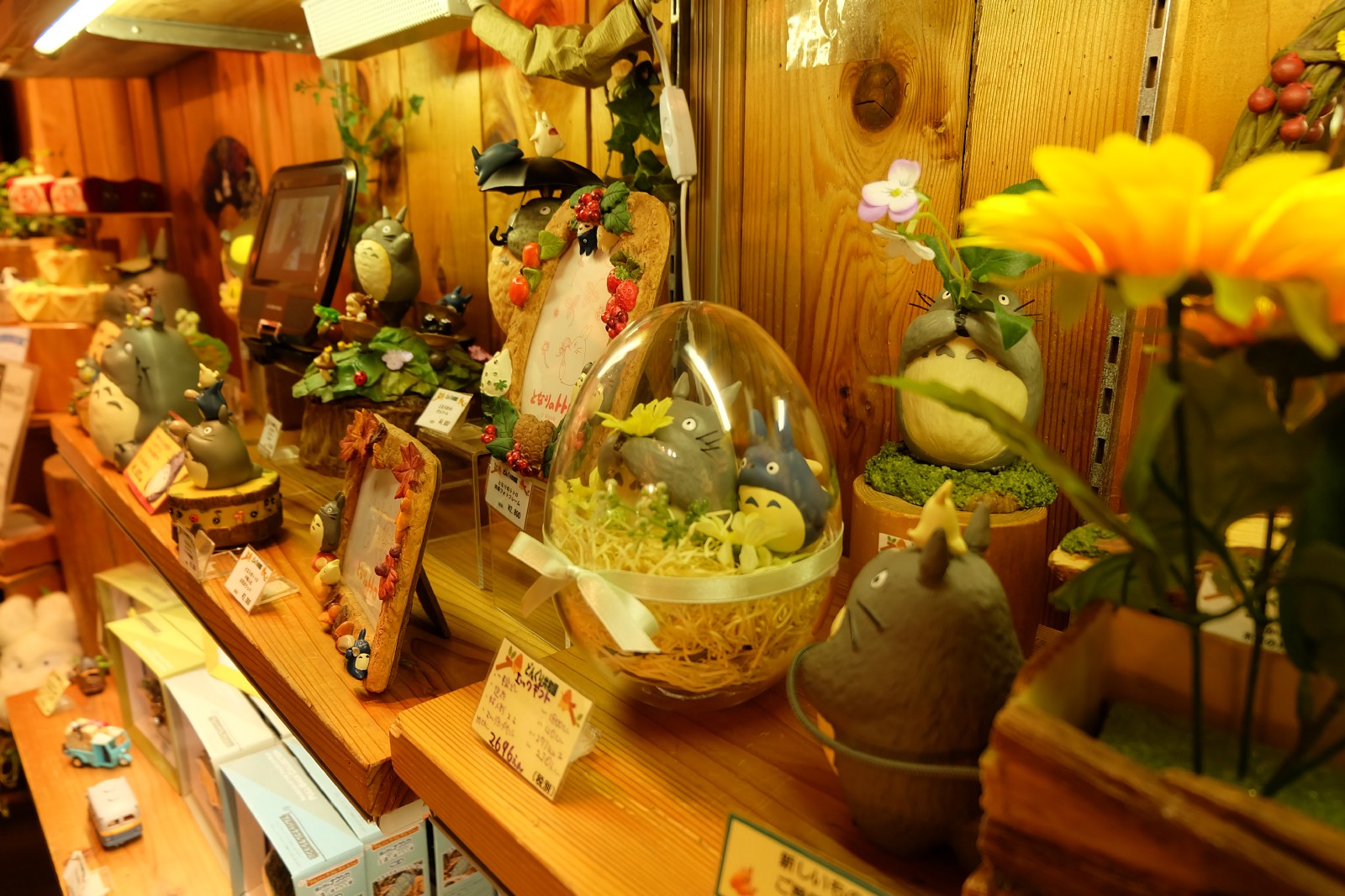 Donguri Kyowakoku, the store with nothing but Studio Ghibli anime