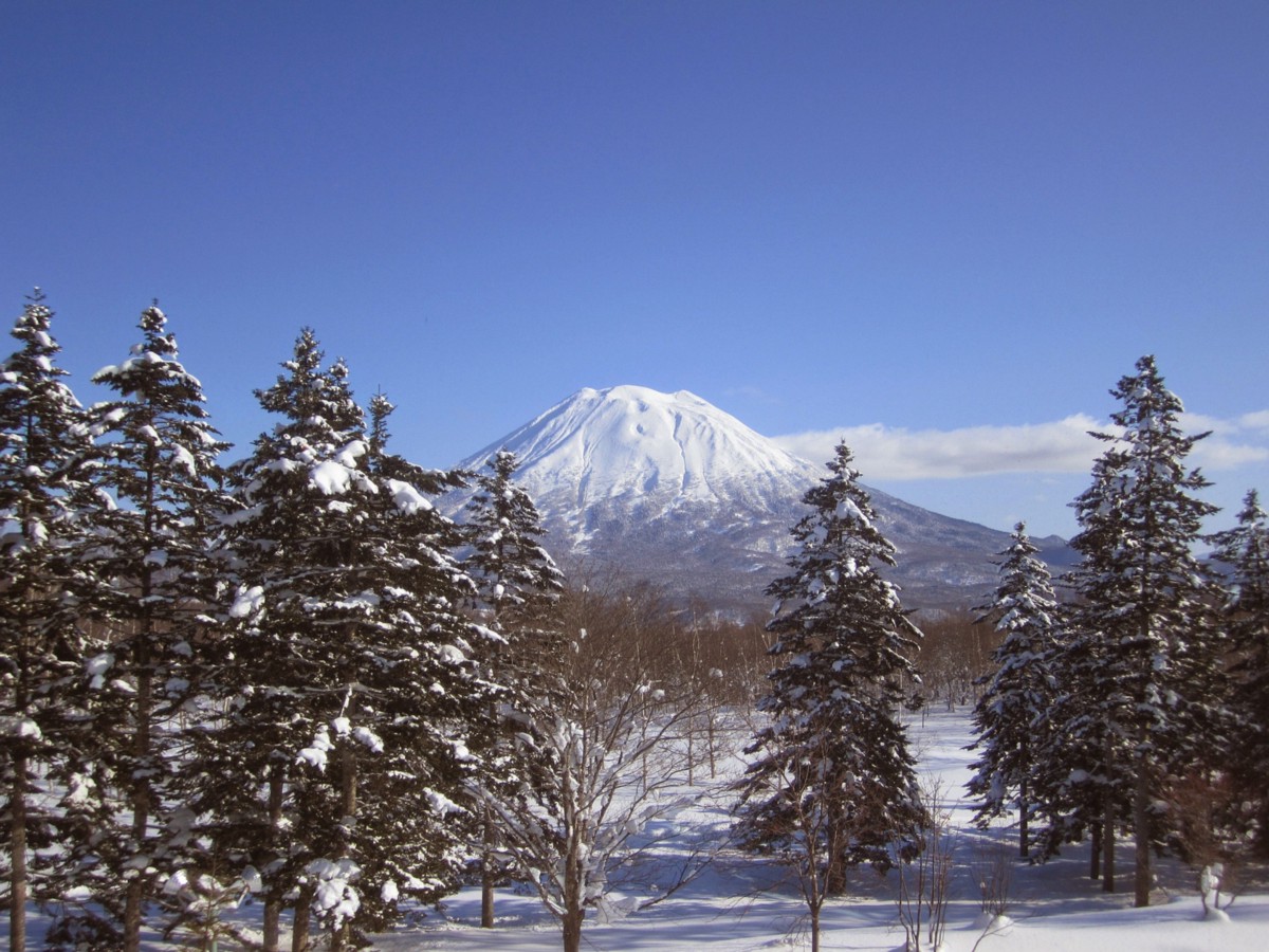 tourist city in japan