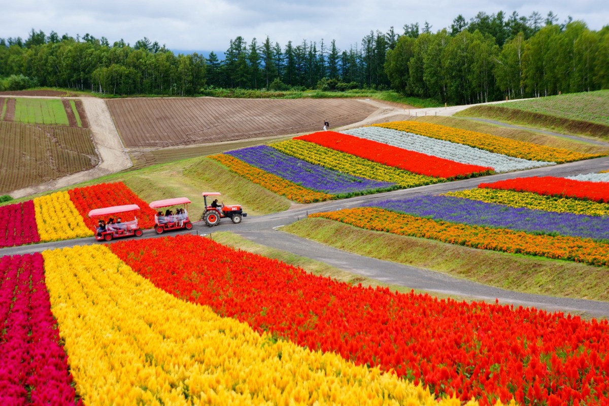 tourist city in japan