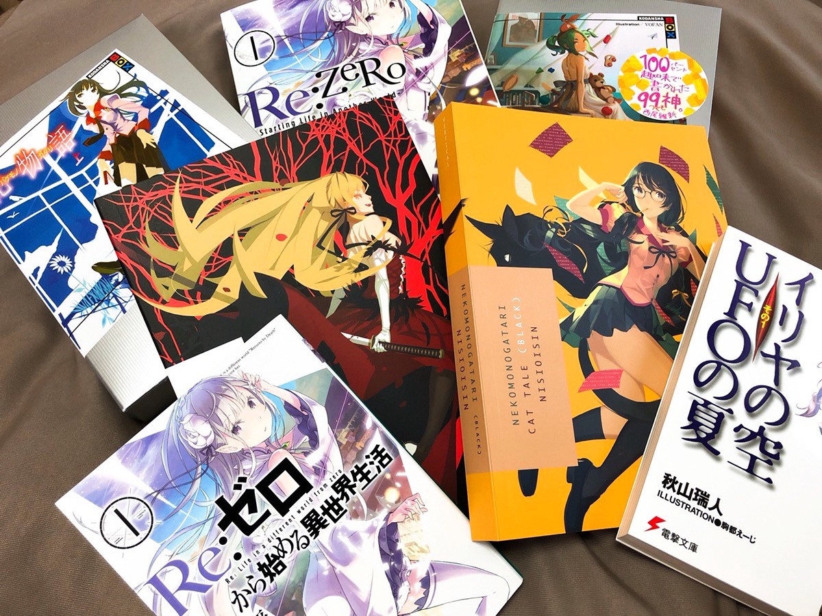 50+ Anime- und Otaku-Begriff, den Sie als Anime-Fan kennen müssen - Light Novel