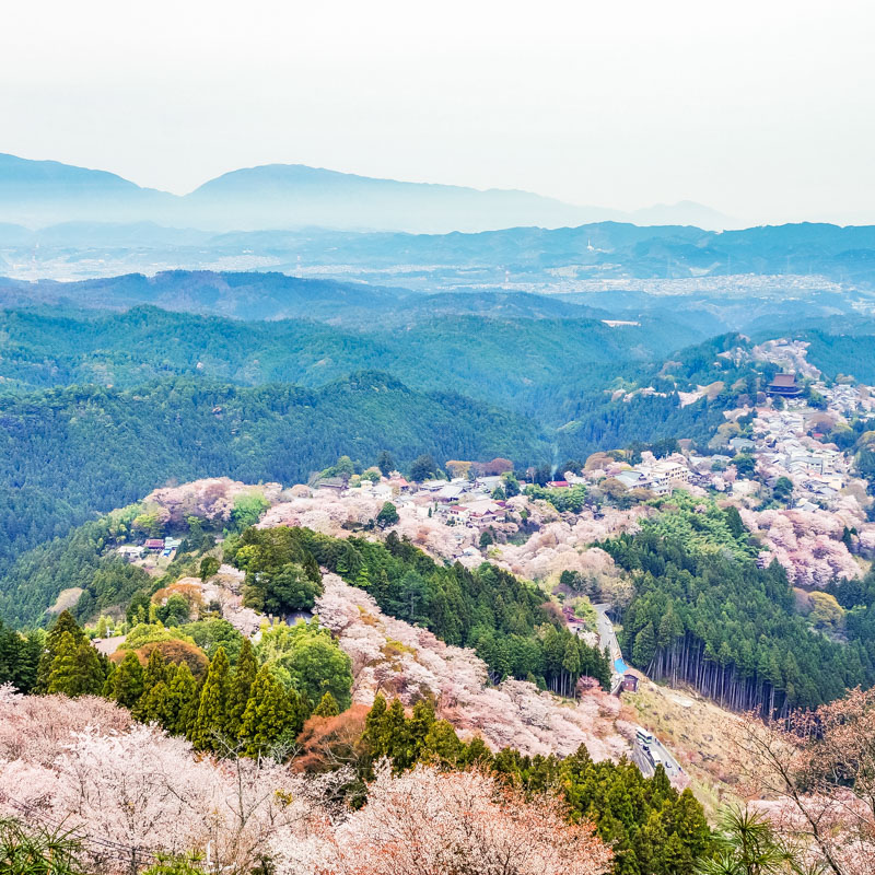 Mt.Yoshino in Nara