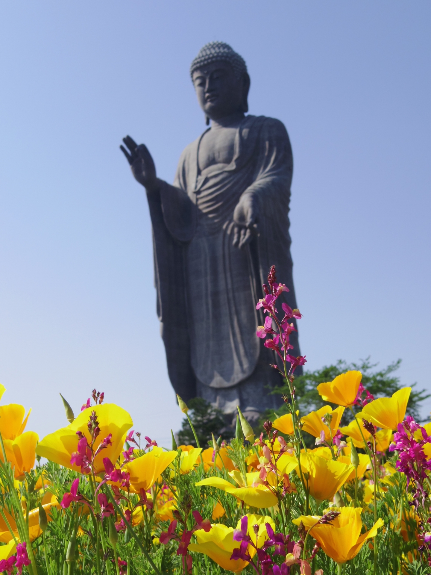 Ushiku Daibutsu Buddha with Flowers