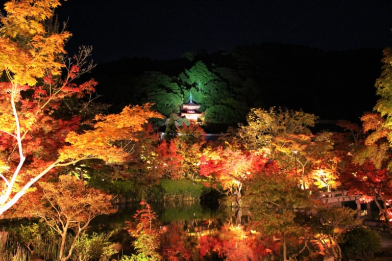Eikando Zenrinji Temple: Best Autumn Leaves Illumination in Kyoto