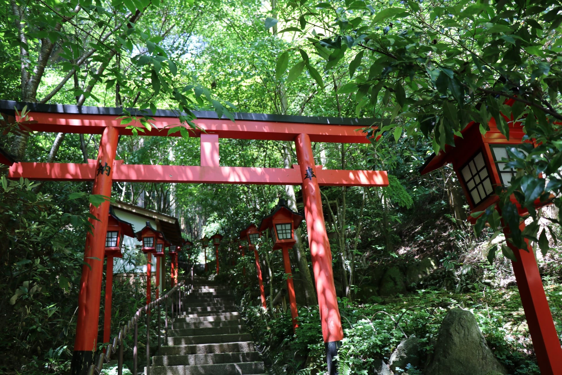 Torii gated at Nanzoin Temple in Fukuoka