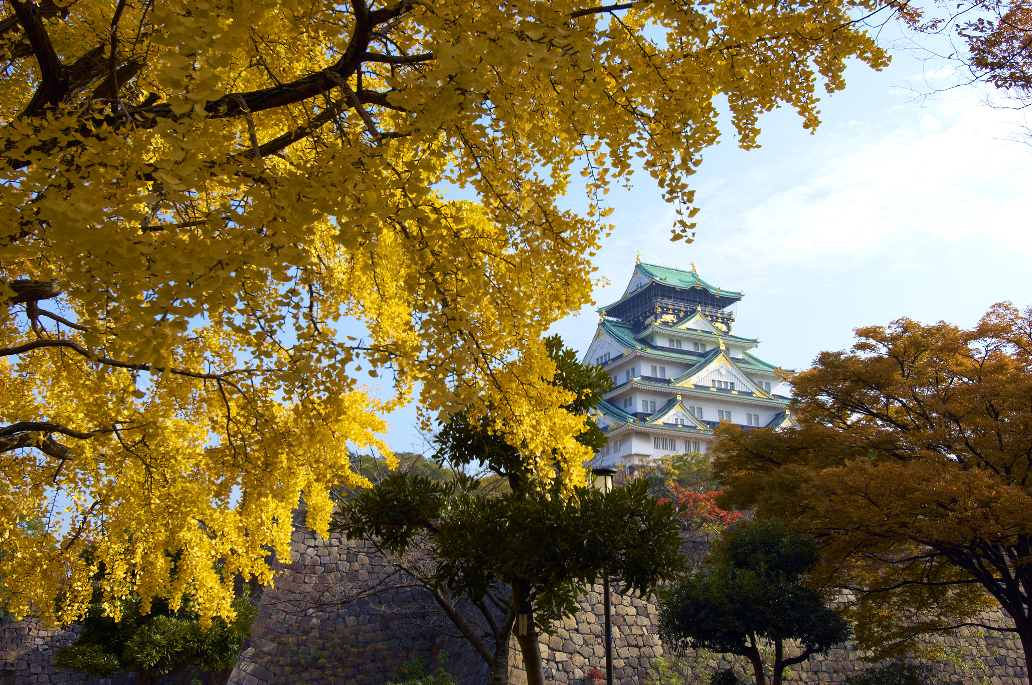 Климат японии. Замок Осаки Япония осень. Osaka Castle Park. Город Осака осень. Осенний климат Японии.