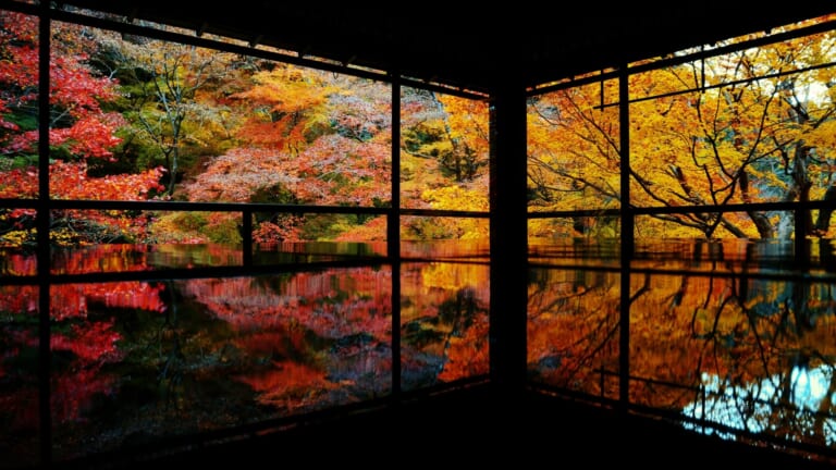 Rurikoin Temple Kyoto: Picturesque Temple with Maple Leaves