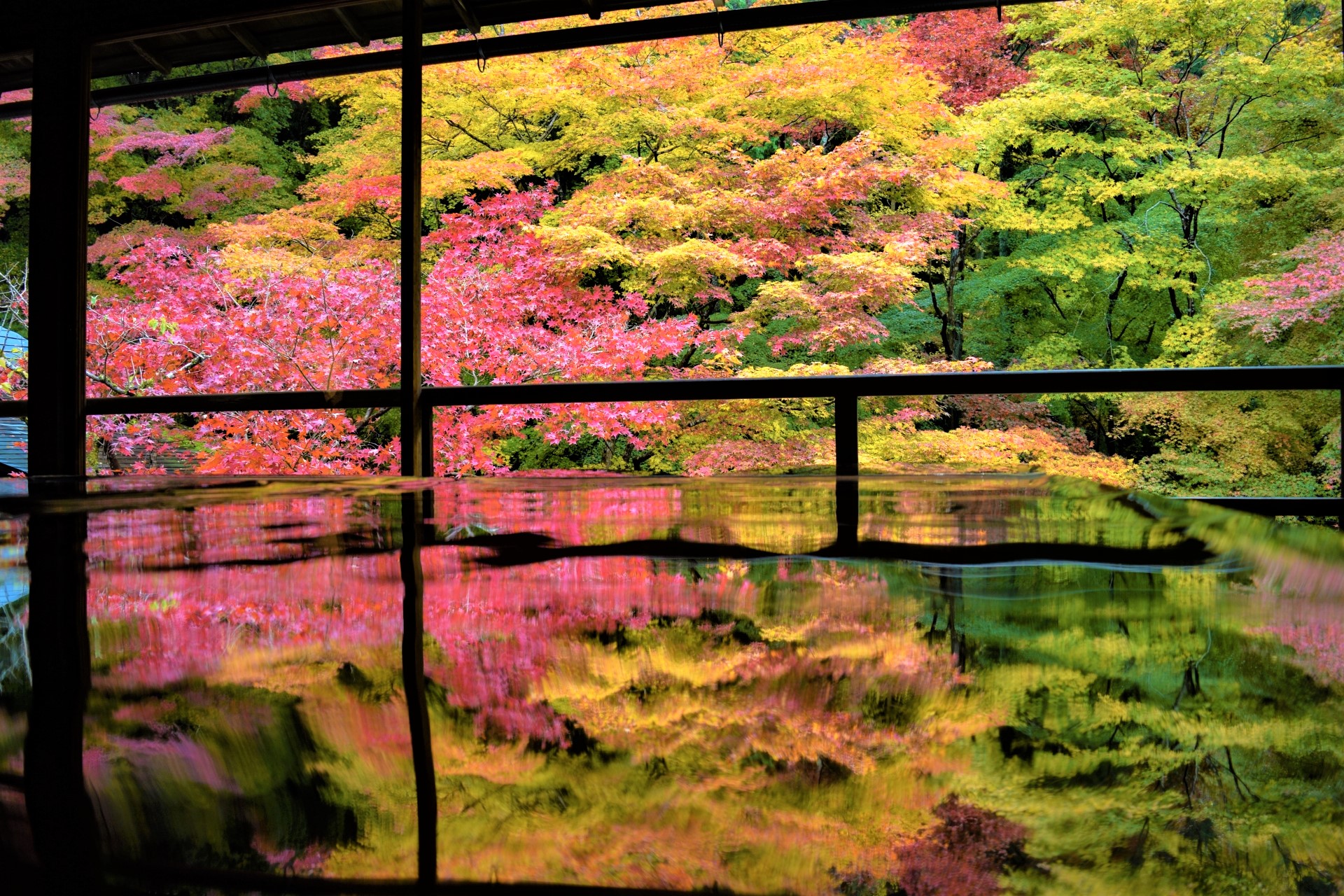 Rurikoin Temple Kyoto : Picturesque Temple with Maple Leaves