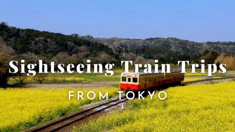 5 Unique Sightseeing Train Trips from Tokyo
