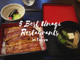 5 Best Unagi Restaurants in Tokyo